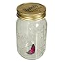 Animierter Schmetterling BUTTERFLY COLLECTION im G&hellip von MIK funshopping