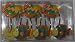 Saltwater Splash 12 Shower Hooks - Tropical Fish