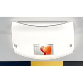 Eglo 88537A Input, Red and Orange, 2-Light Wall Ceiling Light Fixture by Eglo