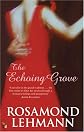 The Echoing Grove (Virago Modern Classics)