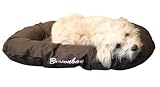 Eigenschaften Paulchen 58220 / Paulchen 58220 Matratze Brownbay 100 cm, braun, wasserabweisend