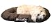 Paulchen 58220 Matratze Brownbay 100 cm, braun, wasserabweisend