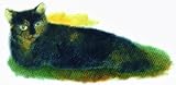 Kindness