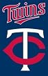 Minnesota Twins Applique Embroidered Banner Flag 44"x28" MLB Baseball Fan Shop Sports Team Merchandise