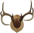 Walnut Hollow Country Antler Mount Kit, Oak