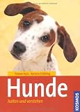 Produkt-Bild: Hunde: halten und verstehen