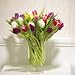 25 Vibrant Assorted Tulips