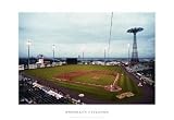 Brooklyn Cyclones by Ira Rosen. LAMINATED. 14.88 inches width by 9.99 inches height. Highest Quality Art Poster Print