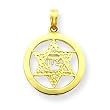 14k Jewish Chi in Star of David Pendant