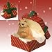 Red Persian Cat Red Gift Box Cat Christmas Ornament