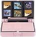 Electronics : Nintendo DS Dura-Case - Pink