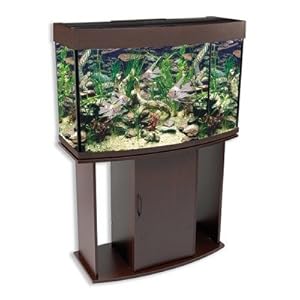 Penn Plax 58-Gallon Bow Aquarium Tank with Stand, Walnut