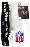 Baltimore Ravens Lanyard with Ticket Holder and Logo Pin