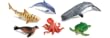Ocean Animals