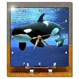 Killer Whales - 6x6 Desk Clock
