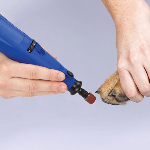Image #3 of Master Grooming Tools