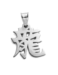Sterling Silver Chinese Zodiac "Dragon" Kanji Symbol Charm