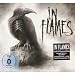 Einige k�rzlich erschienene Metal Highlights