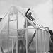Men Building Greenhouse and Covering with Plastic Instead of Glass Photographic Poster Print 