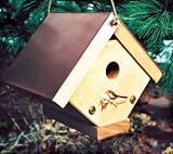 WoodLink Wren House Cedar Bird House with Copper Roof