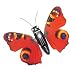 Solar-Bewegungsmodell Schmetterling