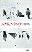 Amundsen. Bezwinger beider Pole