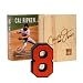 Cal Ripken Jr. IronEight - Home Game - Limited Edition Cast Iron Collectible