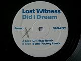 LOST WITNESS Did I Dream 12" promo