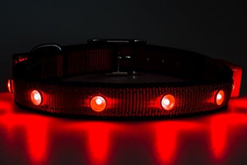 LED Dog Collar for Pet Safety. Money Back Guarantee. Flashing Dog Collar with LED "Jewels" Comes with Extra Batteries. Light Up Your Dog Today