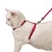 Savvy Tabby Nylon Cat Harness, 3/8-Inch, Raspberry Sorbet
