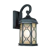 Trans Globe Lighting 50410 BRZ Outdoor 1 Light Black Bronze Outdoor Wall Mount