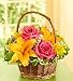 Flowers by 1800Flowers - Fields of Europe in Willow Basket - Small