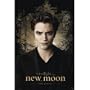 The Twilight Saga: New Moon - Movie Poster (Edward Cullen Solo) (Size: 24" x 36")