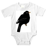 Onesie with jay, vertebrate, mynah, European, starling, koltrast, perching, animal, avian, bird