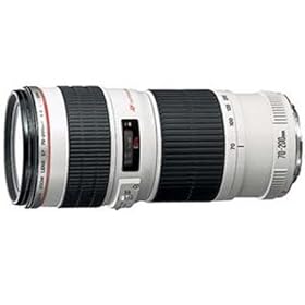 Canon EF 70-200mm f/4L USM Telephoto Zoom Lens