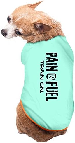 Jade Vintage Pain Is Fuel Train On Poster Dog T-shirt SkyBlue Size M