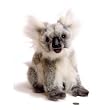 KOALA PLUSH TOY BY HANSA 11" H