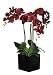 Artificial Triple-stem Phalaenopsis Orchid Arrangement Red