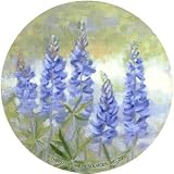Set of Four Bluebonnets Thirstystone Coasters - Style TS119R