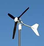 GOWE Off-Grid1KW Wind turbine+1KW charge controller+1000/2000W pure 