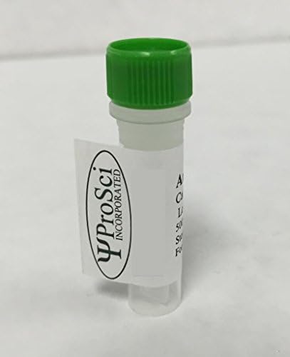 EGF receptor Recombinant Protein, 0.01 mg