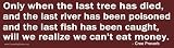 Magnetic Bumper Sticker. Only when the last tree has died and the last river has been poisoned and the last fish has been caught will we realize that we cant eat money. Cree Proverb