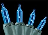 Review Hofert  / Set of 100 Blue Everglow Mini Christmas Lights With Green Wire