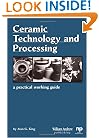 Ceramic Technology and Processing: A Practical Working Guide (Materials and Processing Technology)