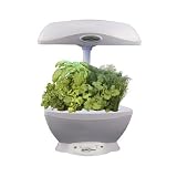 Aerogarden Space Saver 6 Plant Select w/Herbs