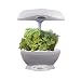 Outdoor Living : Aerogarden Space Saver 6 Plant Select w/Herbs