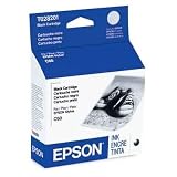 Epson America Ink Black For Stylus C60 T028201
