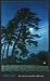 Moon At Magome by Kawase Hasui - Fine Art Print / Poster - 22.00 x 36.00