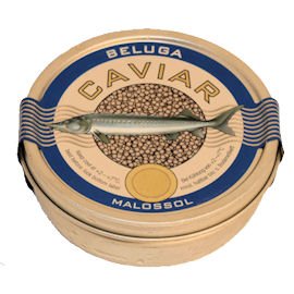 125g Farmed Beluga