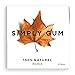 SIMPLY Gum | Maple | Plant- Based Chewing Gum | Pack of Six (90 Pieces Total) | Synthetic Plastic Free + Aspartame Free + non GMO
